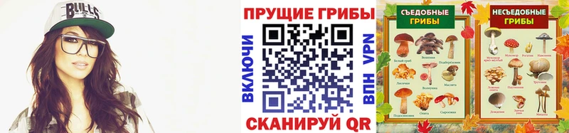Галлюциногенные грибы Psilocybe  Юрюзань 